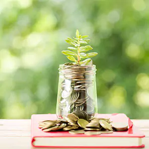 Mutual Funds